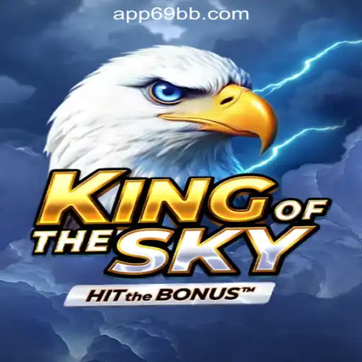 Discover the Thrilling World of KingOfTheSky: A Premier Gaming Experience